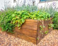 Jardinière - plantes aromatiques